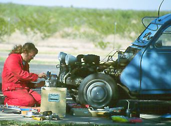 b11.jpg (21532 Byte)